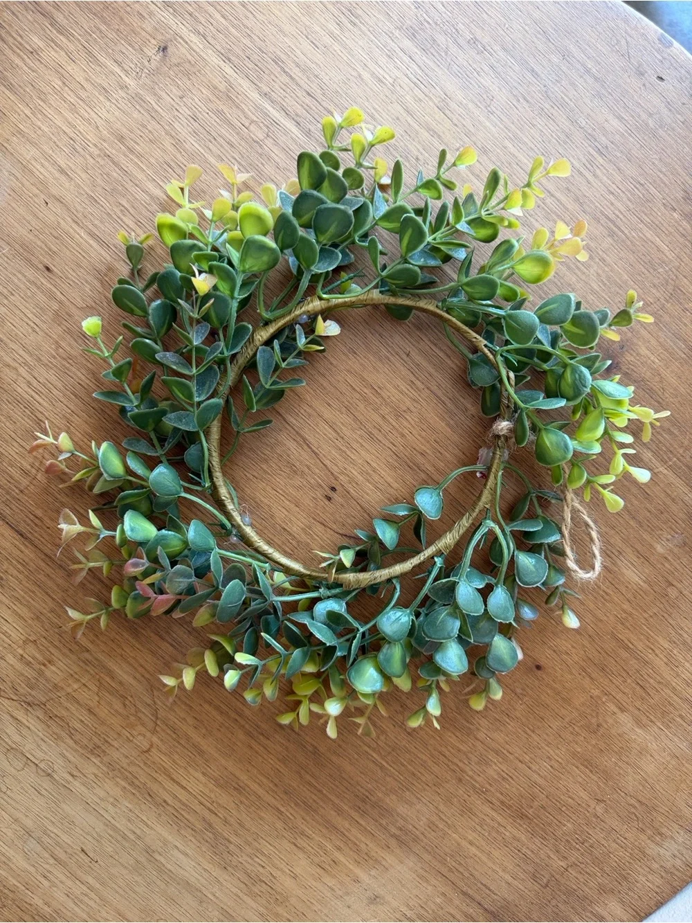 Target Green and Yellow Faux Boxwood Wreath Set